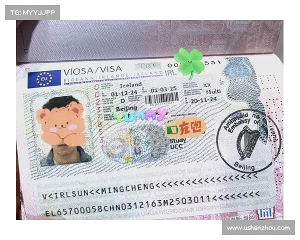 荷兰放行F签证:对国际学生和移民政策的深远影响(荷兰签证开放) 荷兰放行F签证:对国际学生和移民政策的深远影响(荷兰签证开放)